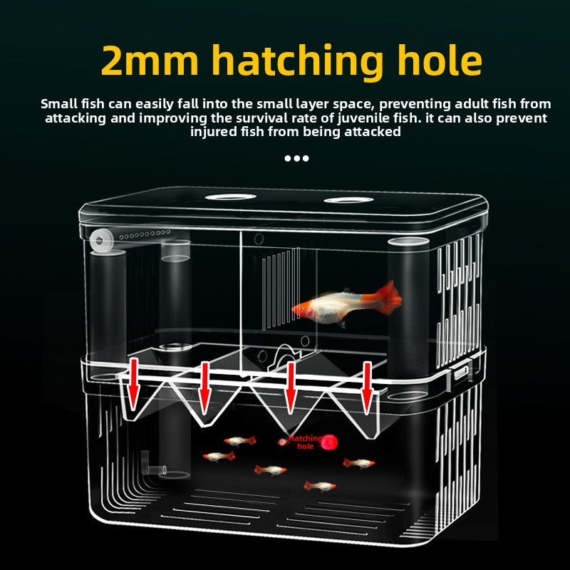 Fish Breeding Box