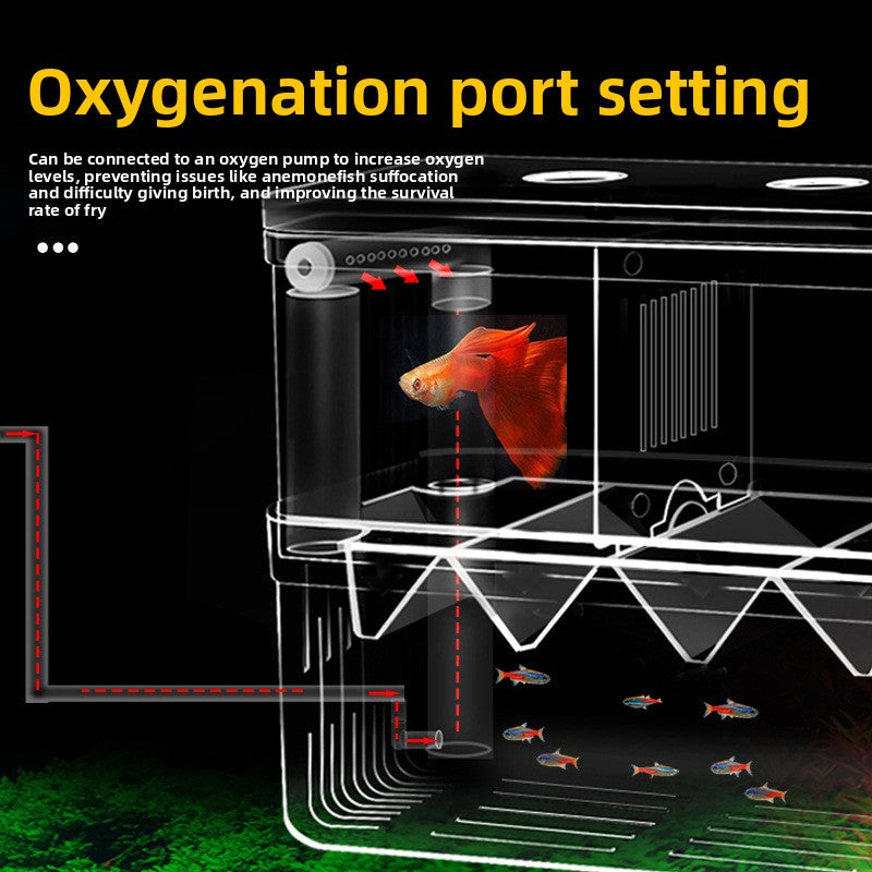 Fish Breeding Box