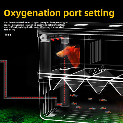 Fish Breeding Box