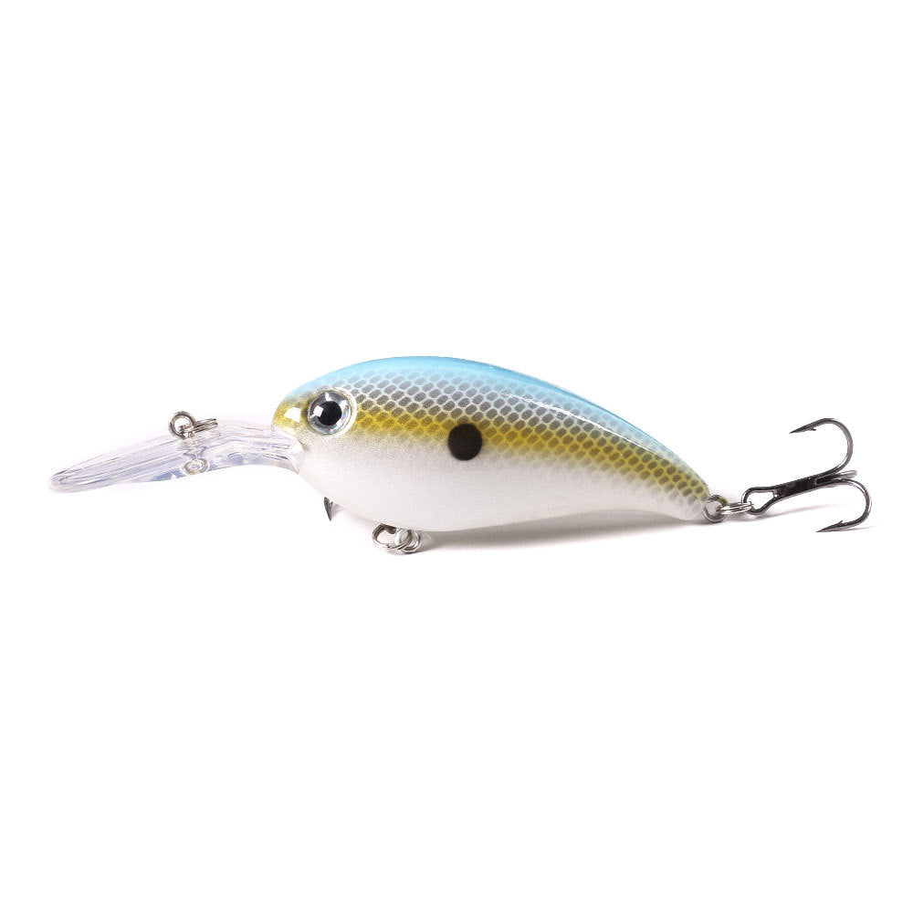 fishing lure