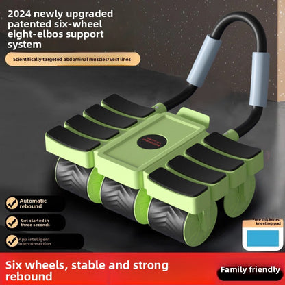 fitness abdominal wheel