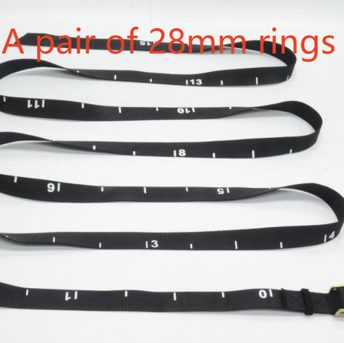 Fitness Gymnastics Rings with Adjustable Straps