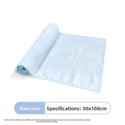 Fitness towel