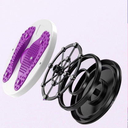Fitness Twist Disc
