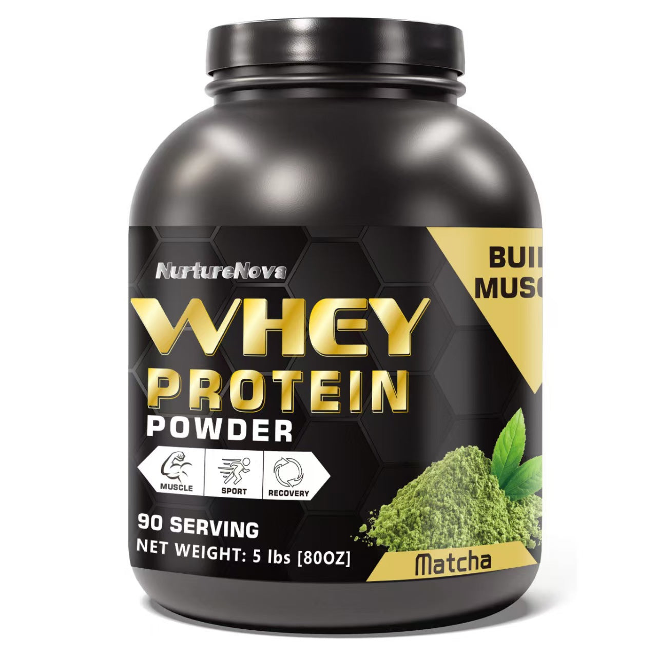 Fitness Whey Protein Powder