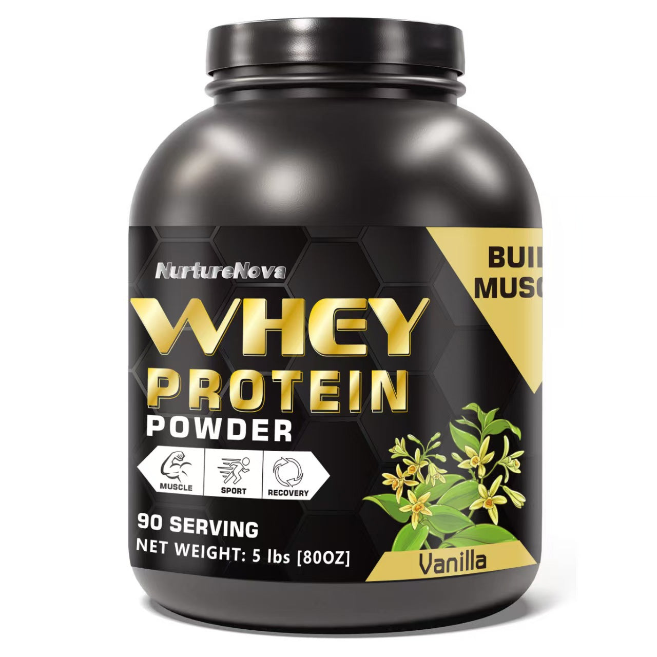 Fitness Whey Protein Powder