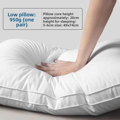 Five-star hotel pillows