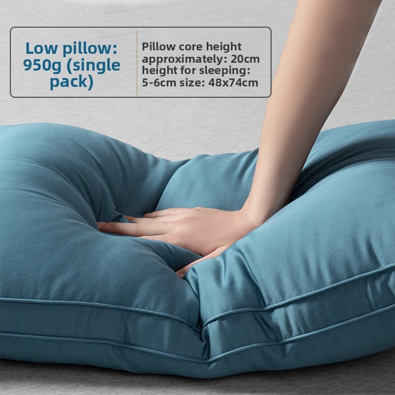 Five-star hotel pillows