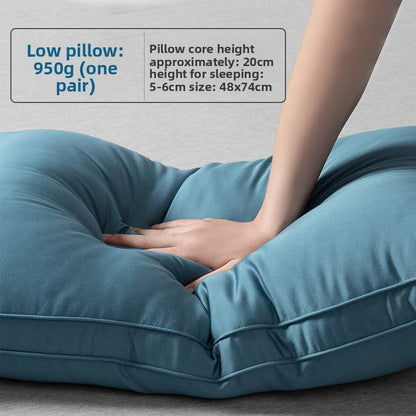 Five-star hotel pillows
