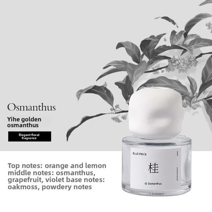 Flameless Aromatherapy Liquid Diffuser
