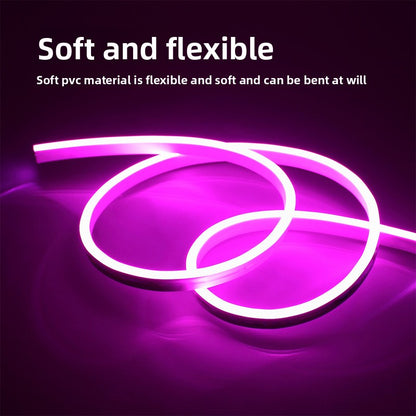 Flexible Neon LED Light Strips 12V RGB Lighting