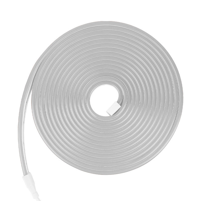 Flexible Neon LED Light Strips 12V RGB Lighting