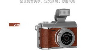 Flip Screen Digital Camera