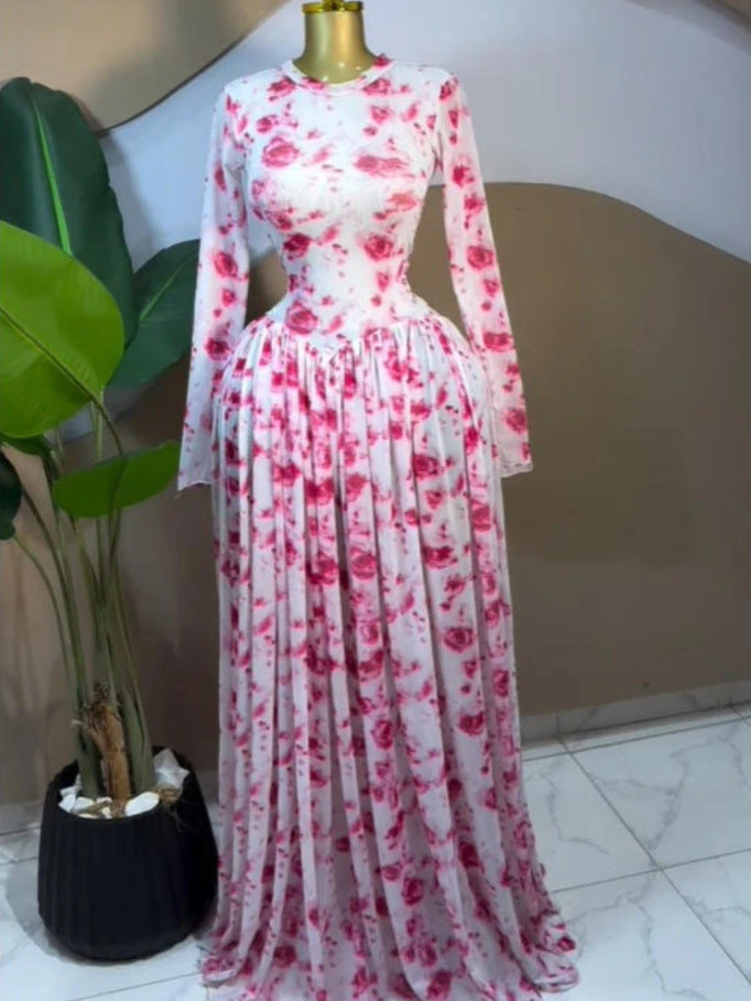 Floral Print Mesh Long Sleeve Dress