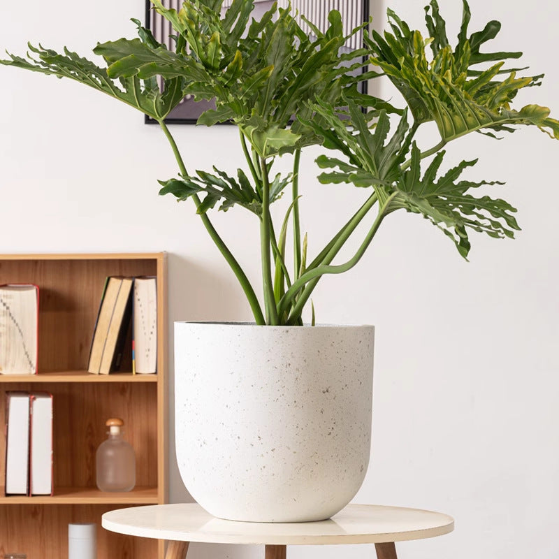Flower Pot