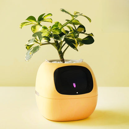 Flower Pot Robot