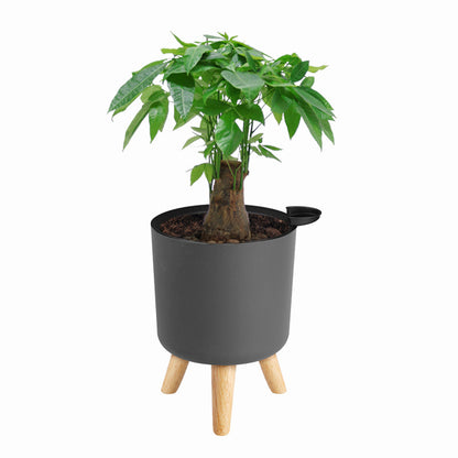 Flowerpot