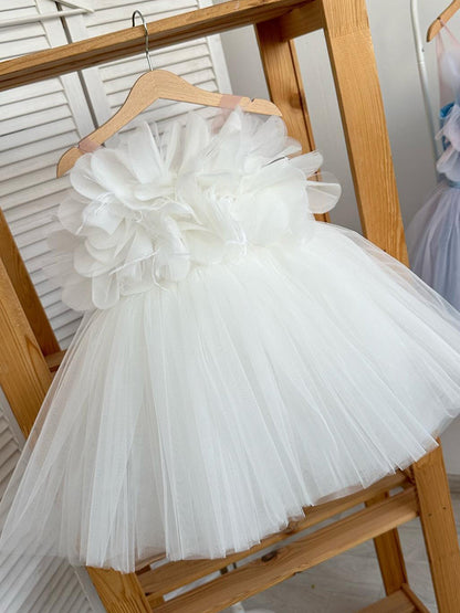 Fluffy Mesh Princess Dress for Special Occasions