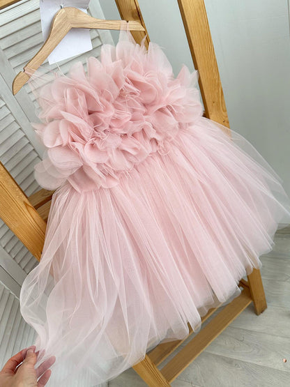 Fluffy Mesh Princess Dress for Special Occasions