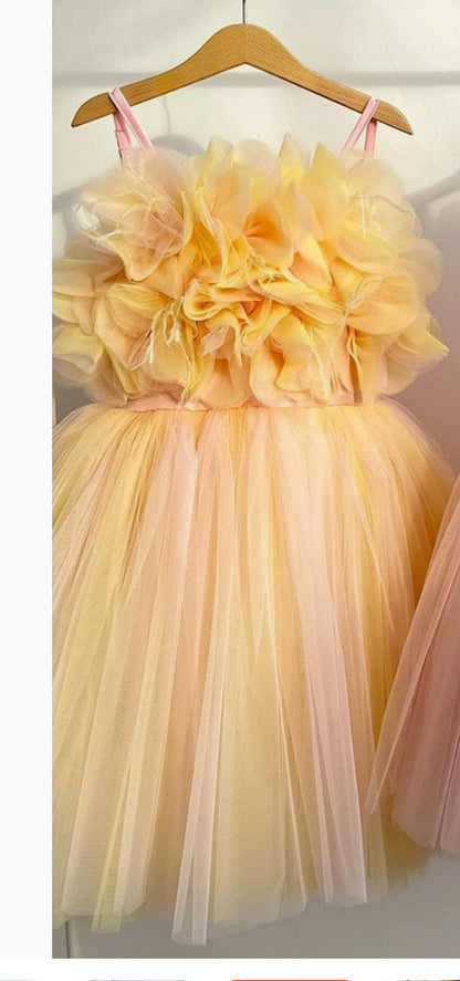 Fluffy Mesh Princess Dress for Special Occasions