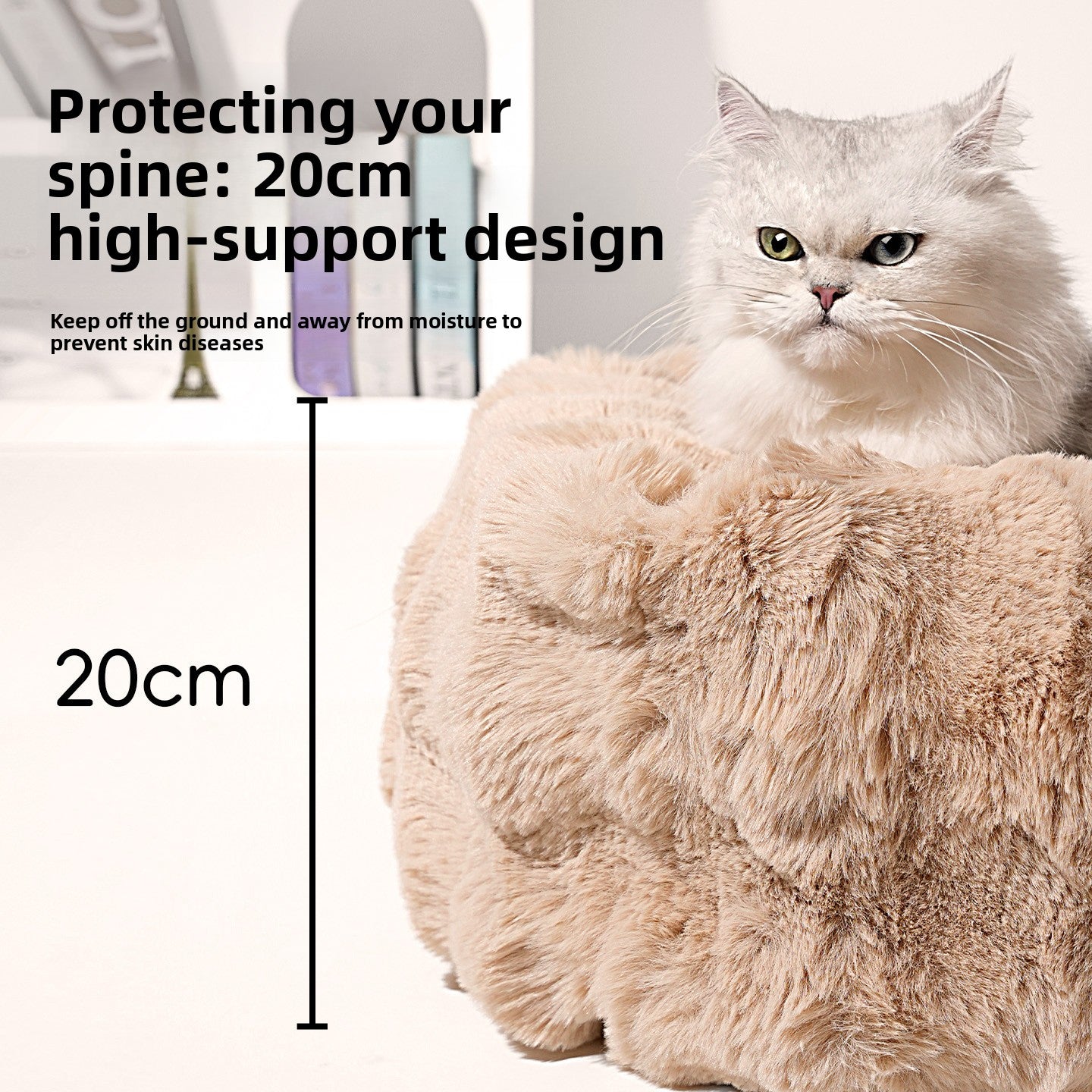 Foam plush cat bed