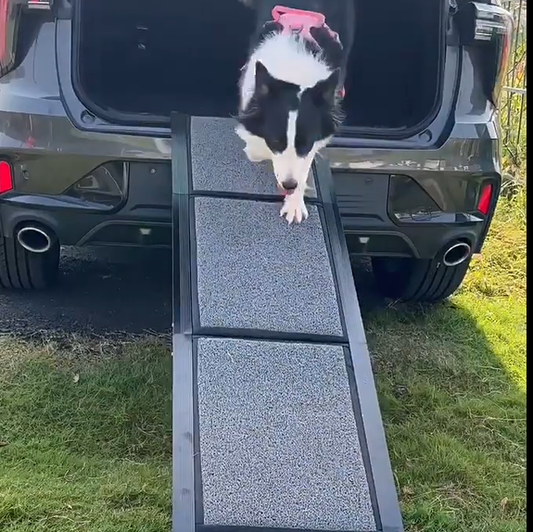 Foldable anti-slip dog ramp