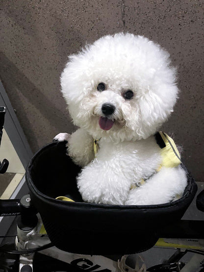 Foldable Bike Mounted Pet Basket Carrier