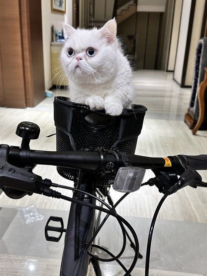 Foldable Bike Mounted Pet Basket Carrier