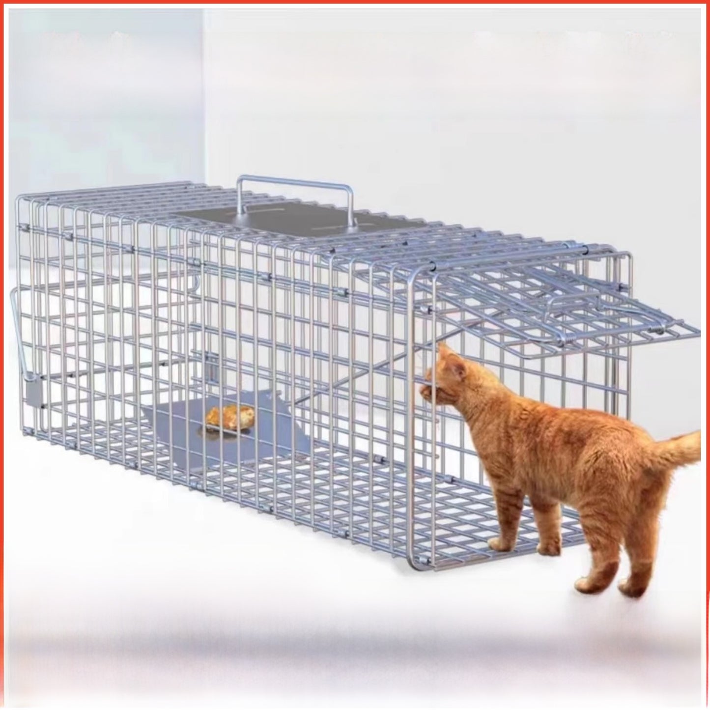 Foldable Cat Trap Cage for Stray Cats