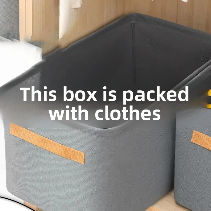 Foldable Fabric Storage Organizer