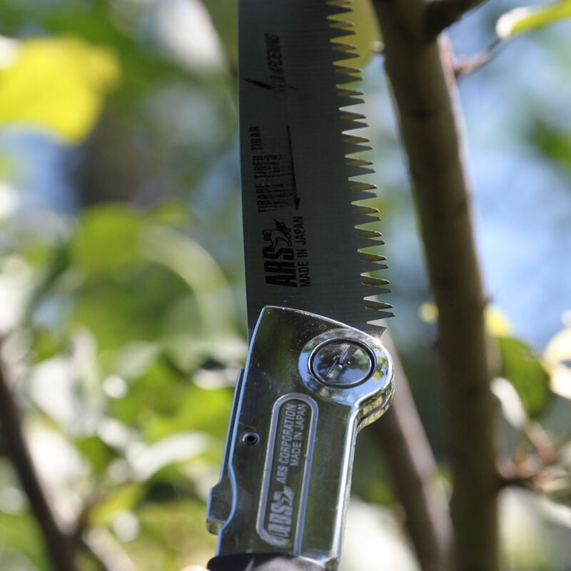 Foldable Hand Saw