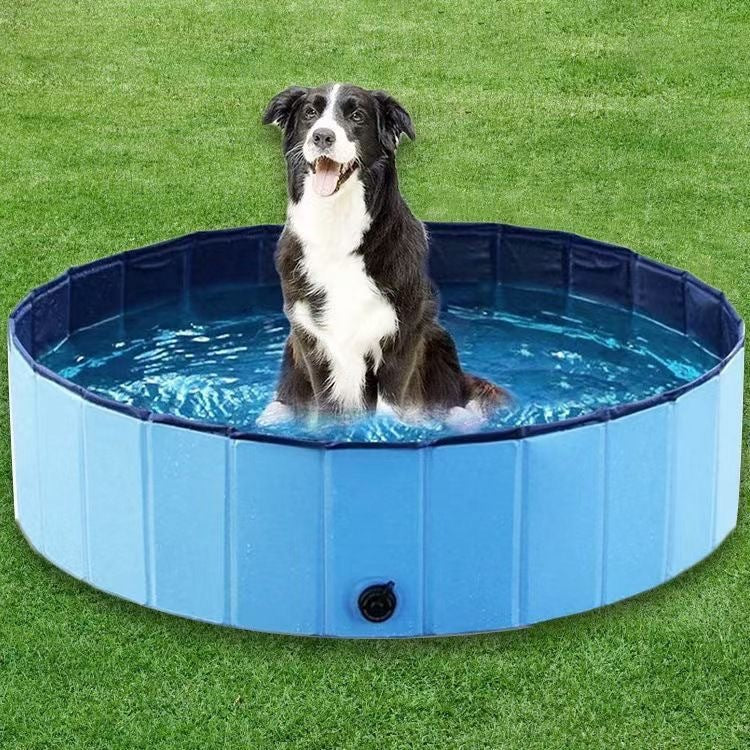 Foldable Pet Bath Tub Swimming Pool