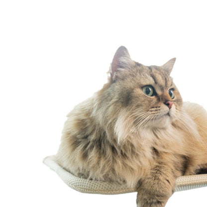 Foldable Plush Cat Hammock