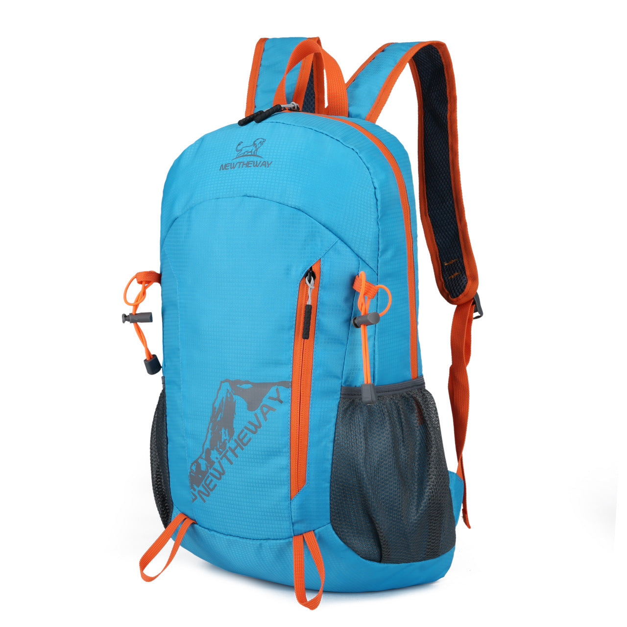 Foldable Portable Backpack