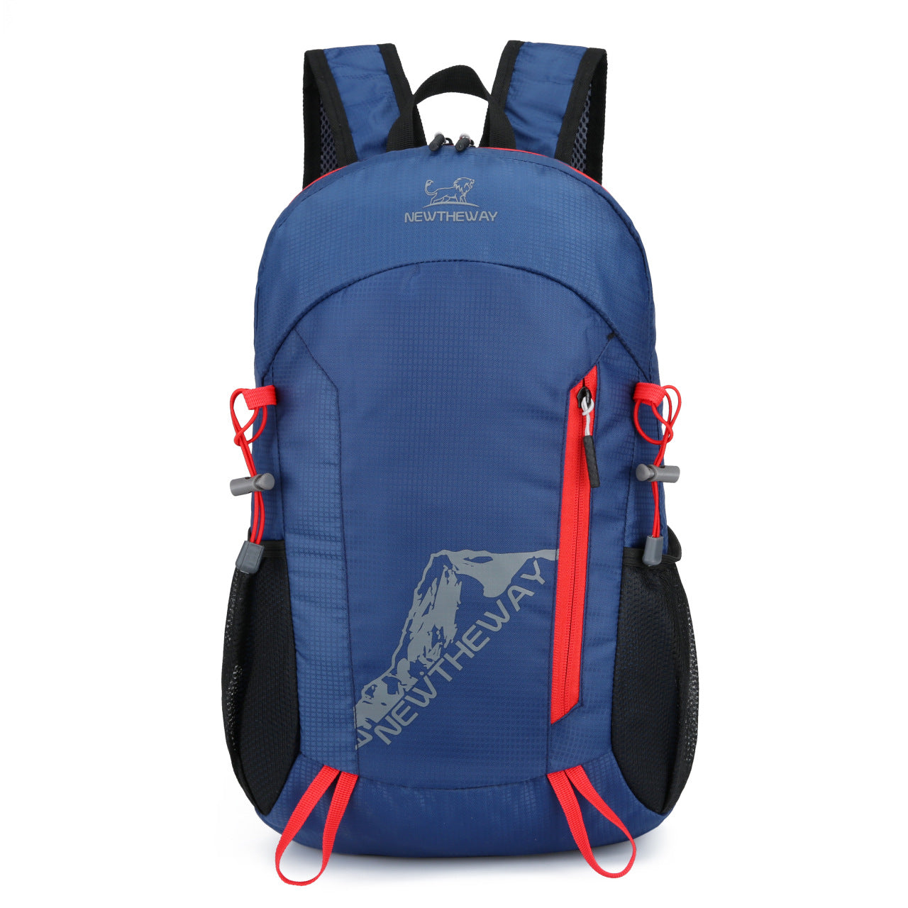 Foldable Portable Backpack