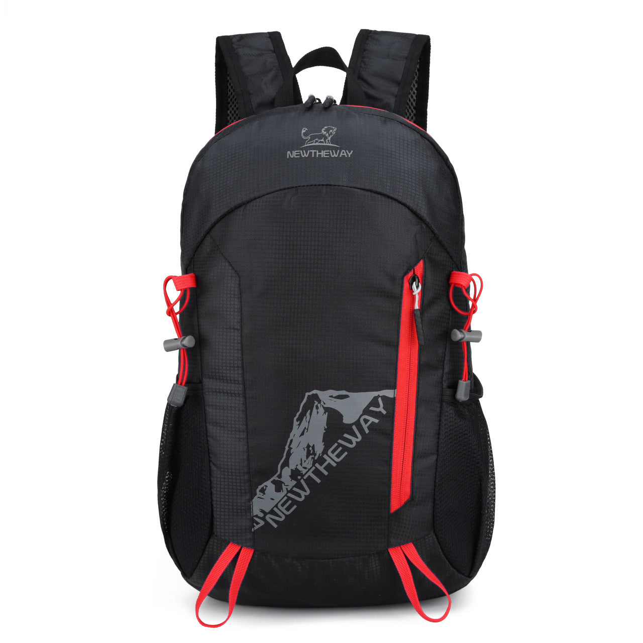 Foldable Portable Backpack