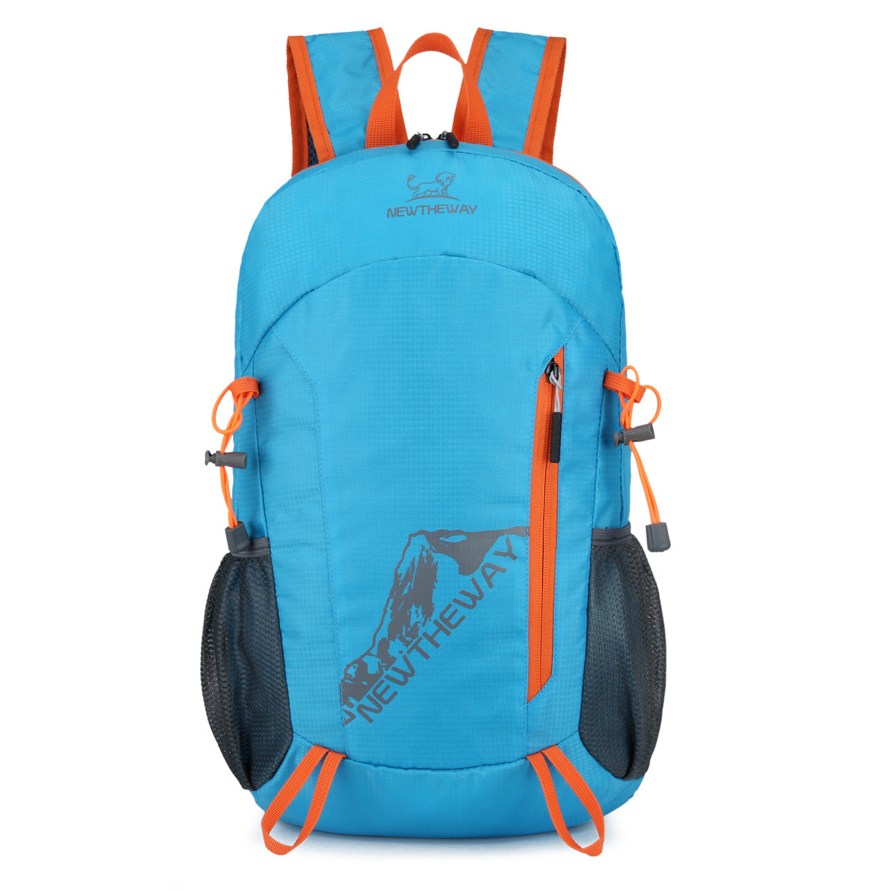 Foldable Portable Backpack