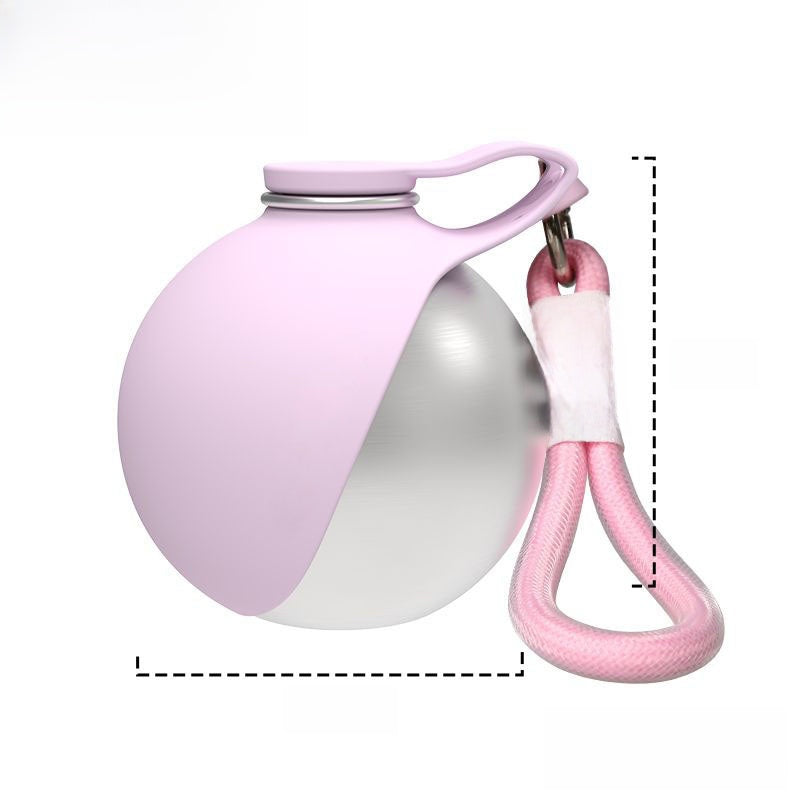 Foldable Stainless Steel Pet Travel Water Bottle