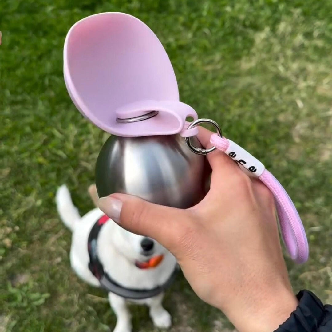 Foldable Stainless Steel Pet Water Bottle with Hanging Rope