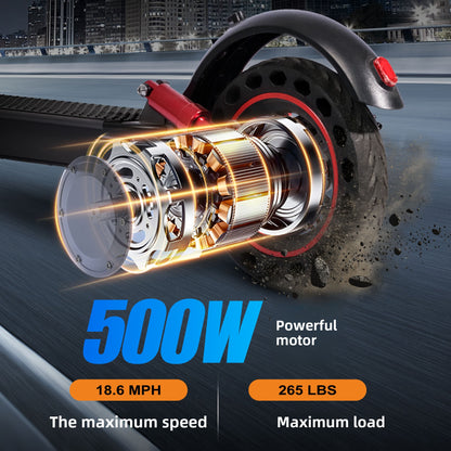 Folding Electric Scooter with Dual Shock Absorption