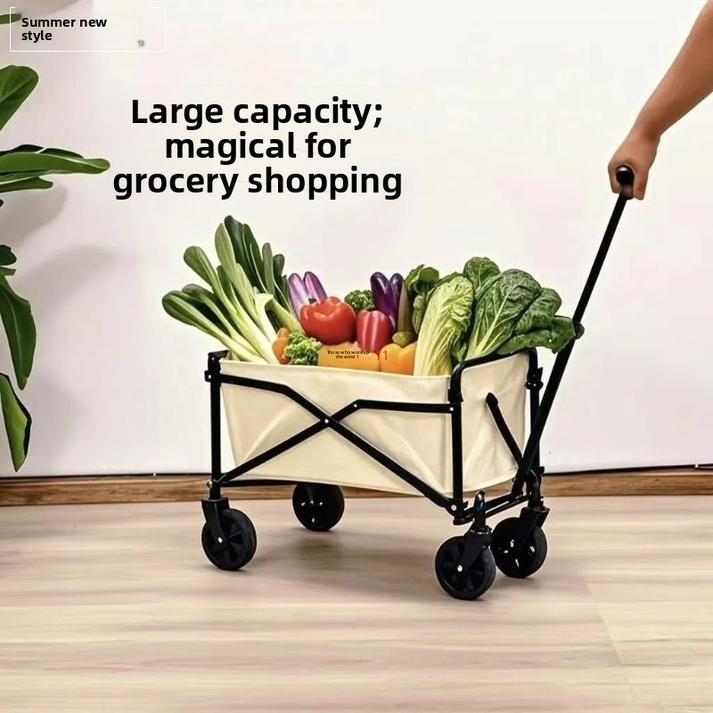 Folding Hand Truck