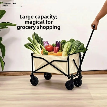 Folding Hand Truck