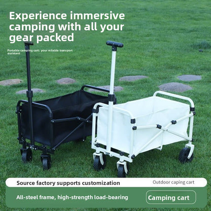 Folding Hand Truck