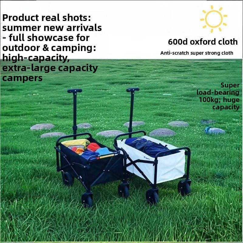 Folding Hand Truck