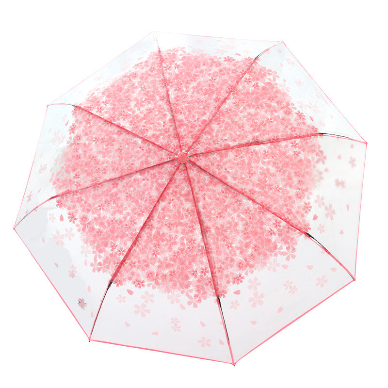 folding umbrella
