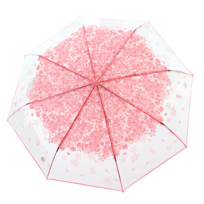 folding umbrella