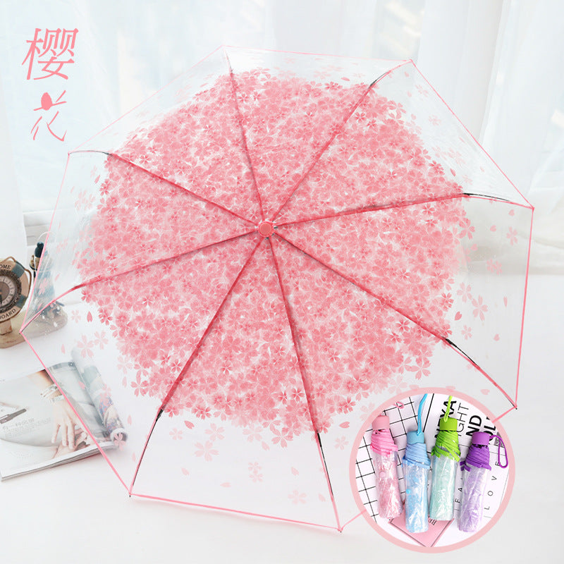 folding umbrella