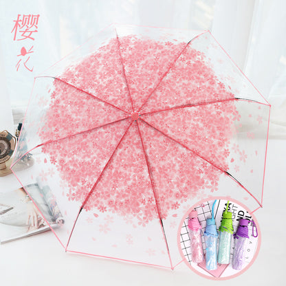 folding umbrella