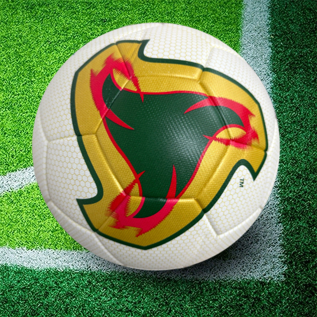 Football Soccer