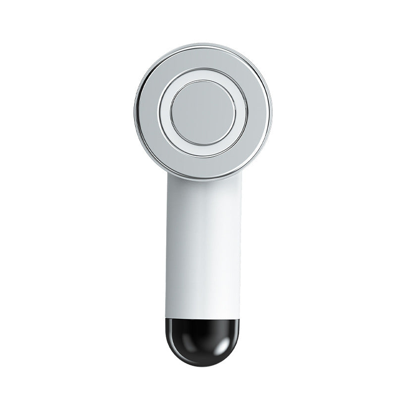 Four-in-One Skin Care Device with EMS RF Infrared Technology